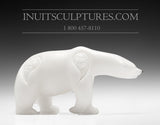 7" Curious Bear by World Famous Manasie Akpaliapik