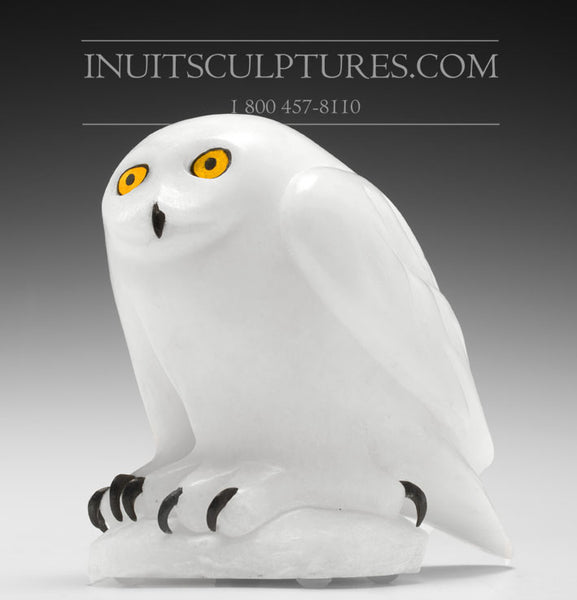 7.5" SIGNATURE White Owl by Manasie Akpaliapik *Pure*