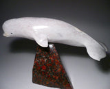 10" White Beluga Whale by Esau Kripanik
