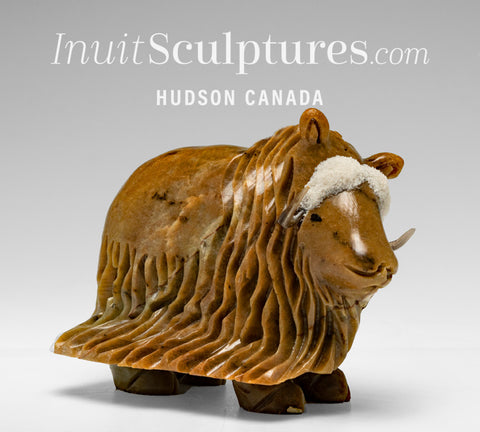 6" Muskox by Peter K. *Salted Caramel*