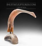 11" Muskox (Musk Ox) Horn Bird by Buddy Alikamik