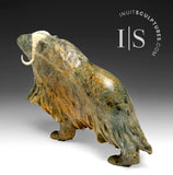 10" Whimsical Muskox by Derrald Taylor *Best in Show*