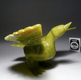 Canard par Napatchee Sharky