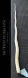 175 cm / 5.74 feet Narwhal Tusk Ivory