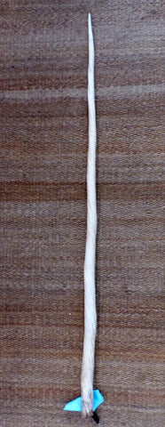 Défense de narval de 51 po