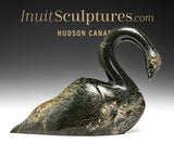 12" SIGNATURE  Swan by Ning Ashoona *Your Highness*