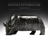 Bœuf musqué 16" par Noah Jaw *Titanic*
