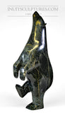 23" Dark Nuna Parr Magnifique ours dansant