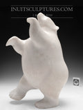 Ours dansant en marbre blanc potelé de 14 po par Nuna Parr