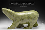 H&R 24" 125 lbs Rare Arching Back Green Walking Bear by Nuna Parr