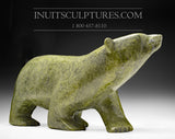 H&R 24" 125 lbs Rare Arching Back Green Walking Bear by Nuna Parr