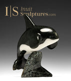 6" SIGNATURE Orca par Johnnysa Mathewsie *Frozen in Time*