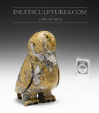 Hibou heureux 6" par Kupapik Ningeocheak
