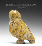 Hibou heureux 6" par Kupapik Ningeocheak
