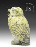 8" SIGNATURE Owl by Pits Qimirpik *Pistachio*