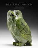 7" SIGNATURE Owl by Pits Qimirpik *Junior*