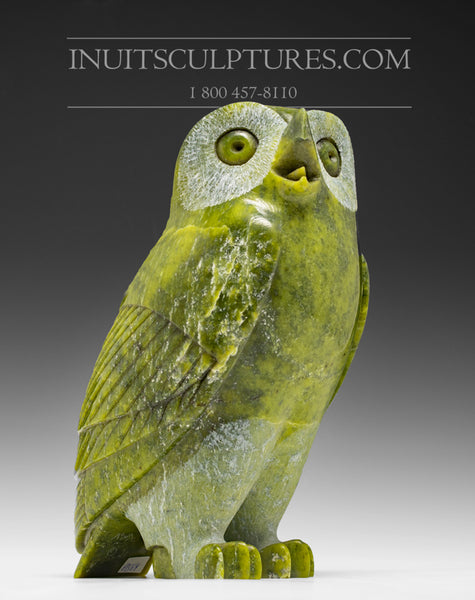 9" SIGNATURE Owl by Pits Qimirpik  *Archimedes*