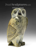 8" SIGNATURE Owl (rare colour stone) by Pits Qimirpik *Julius*