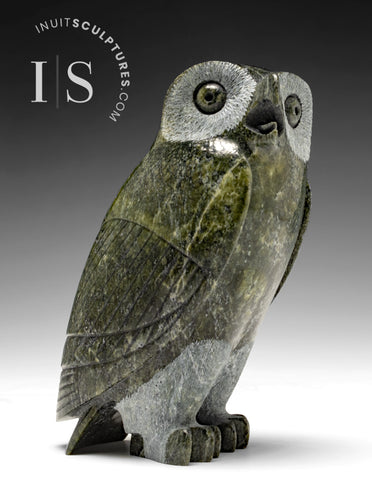 7" SIGNATURE Owl by Pits Qimirpik *Basil*