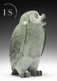 7" SIGNATURE Owl RARE Pale Green Stone by Pits Qimirpik *Duchess*