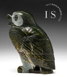 6" SIGNATURE Owl by Pitseolak Qimirpik *Juniper*