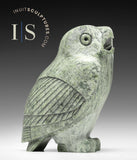6" SIGNATURE Owl RARE Pale Green by Pits Qimirpik *Hooty*