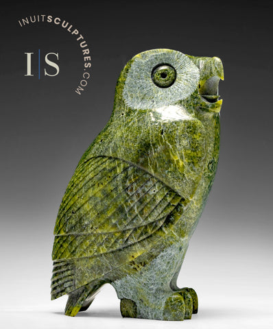 7" SIGNATURE Owl by Pits Qimirpik *Sassy*