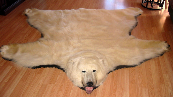 Tapis original en peau d'ours polaire