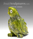 5" SIGNATURE Green Owl by Sam Qiatsuk *Perky*