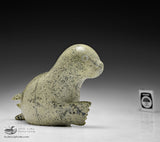 8.5" Seal by Ottokie Aningmiuq