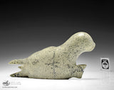 8.5" Seal by Ottokie Aningmiuq