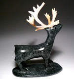 Caribou by Sheokjuk Carriere from Iqaluit