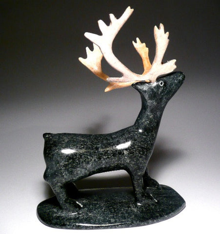 Caribou par Sheokjuk Carriere d'Iqaluit