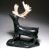 Caribou par Sheokjuk Carriere d'Iqaluit