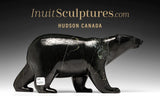 13" SIGNATURE Walking Bear by Tim Pee *The Long March*