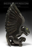 26" SIGNATURE Dancing Owl par Toonoo Sharky *Night Stalker*