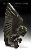 26" SIGNATURE Dancing Owl par Toonoo Sharky *Night Stalker*