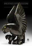 26" SIGNATURE Dancing Owl par Toonoo Sharky *Night Stalker*