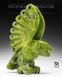 Dernière pièce de la «Covid Colection» - 14" Electric Green Bird Spirit par Toonoo Sharky
