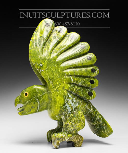 Last Piece from the “Covid Colection” - 14" Electric Green Bird Spirit by Toonoo Sharky