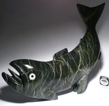 Poisson par Toonoo Sharky