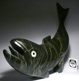 Fish by Toonoo Sharky