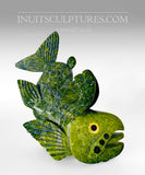 10" "Covid Collection" Apple Green Fish Spirit avec yeux Orange Pekoe par Toonoo Sharky