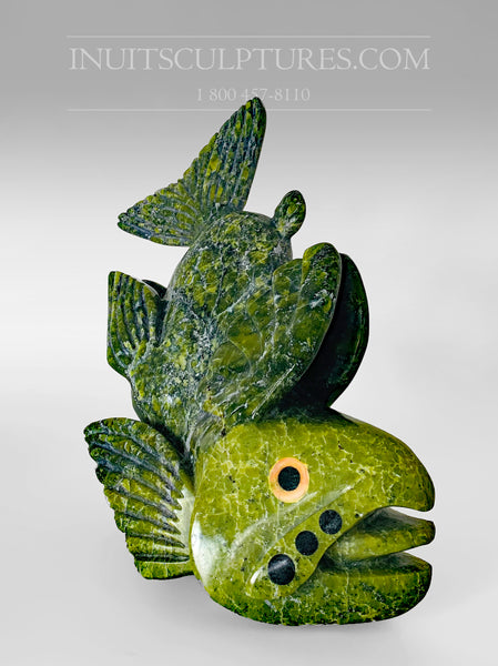 10" "Covid Collection" Apple Green Fish Spirit avec yeux Orange Pekoe par Toonoo Sharky