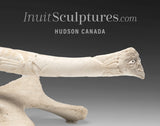 Défense de morse sculptée en ivoire de 22 po par Jonas Audlakiak *Compadres*