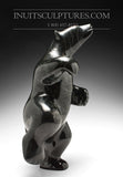 14" Shiny Black Two Way Dancing Bear by Tuk Nuna