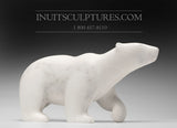 16" Striking Marble Walking Bear by Tuk Nuna