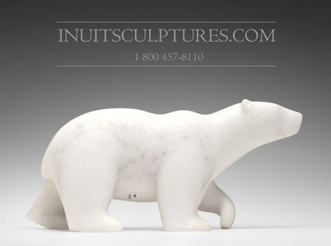 16" L'ours polaire parfait par Tuk Nuna
