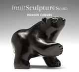 Ours qui marche 4" par David Shaa *Bryson*