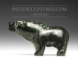 Ours marcheur turquoise foncé de 6 po Allan Naonoonai